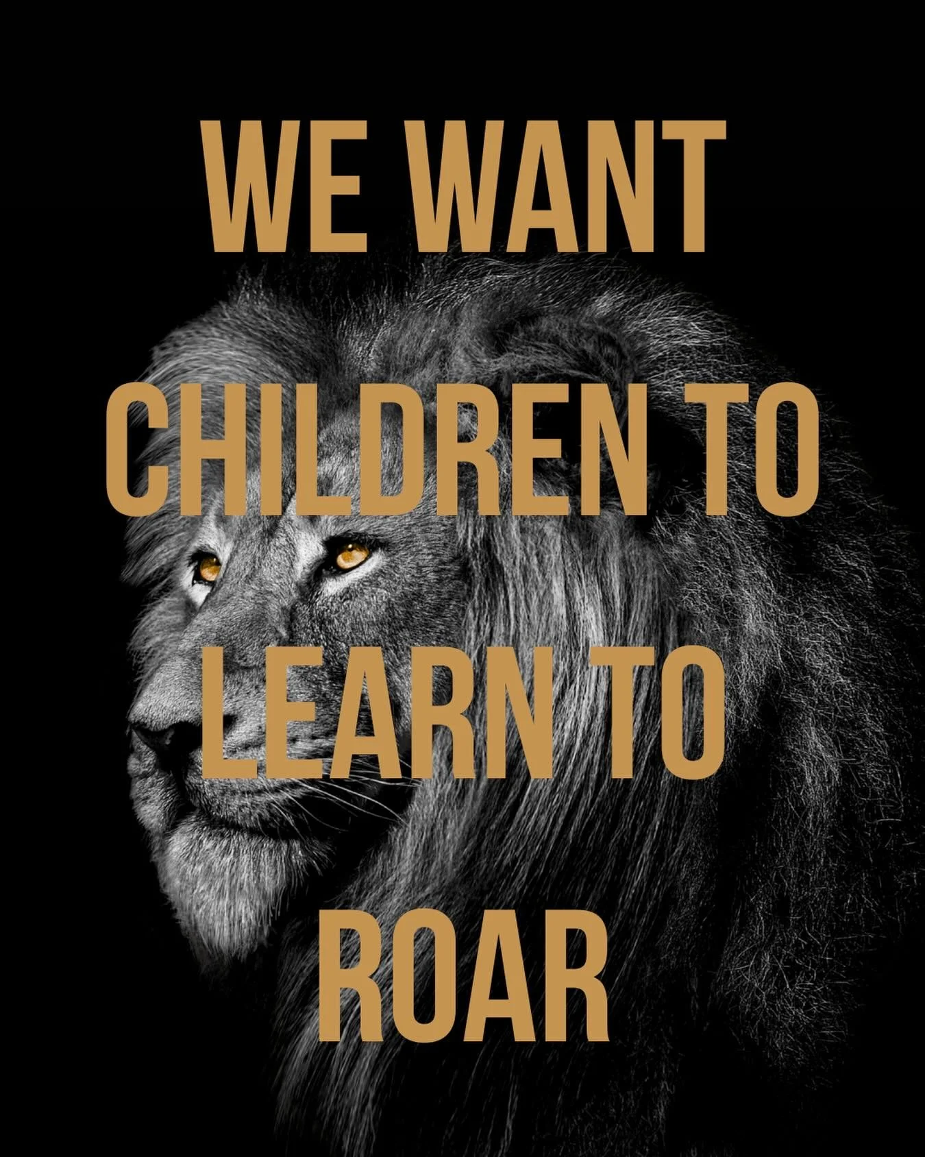 ROARRRRR Inc Instagram post 2